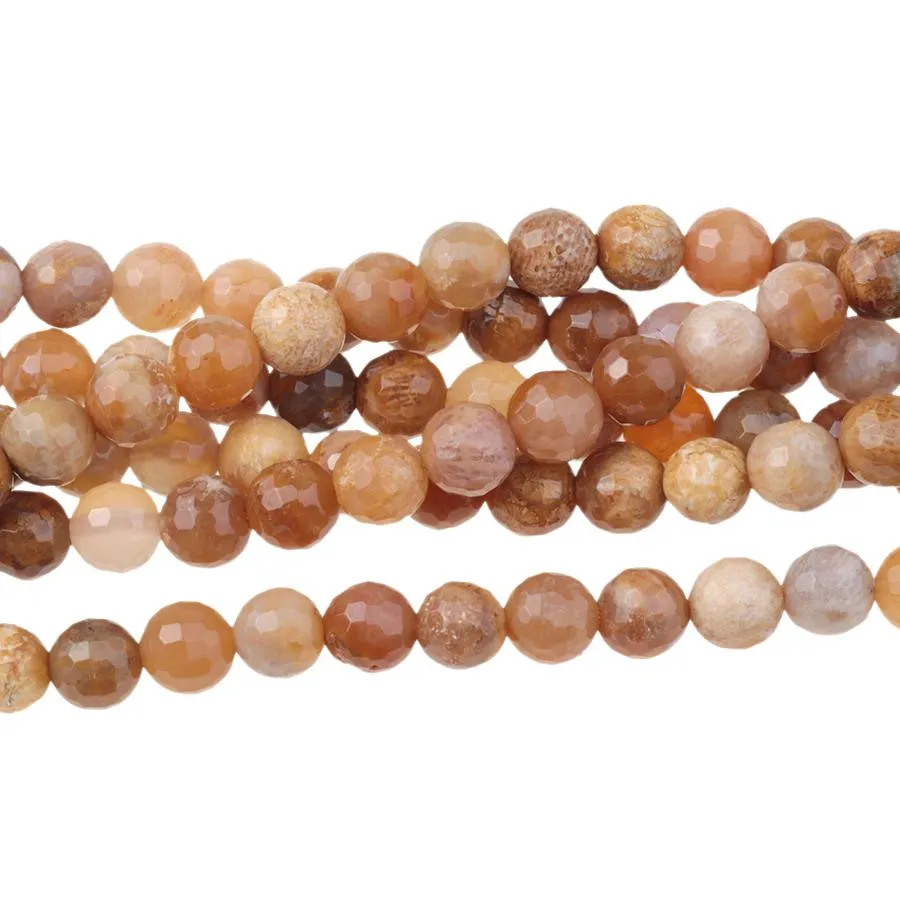 Fossil Coral 6mm Faceted Round - 15-16 Inch