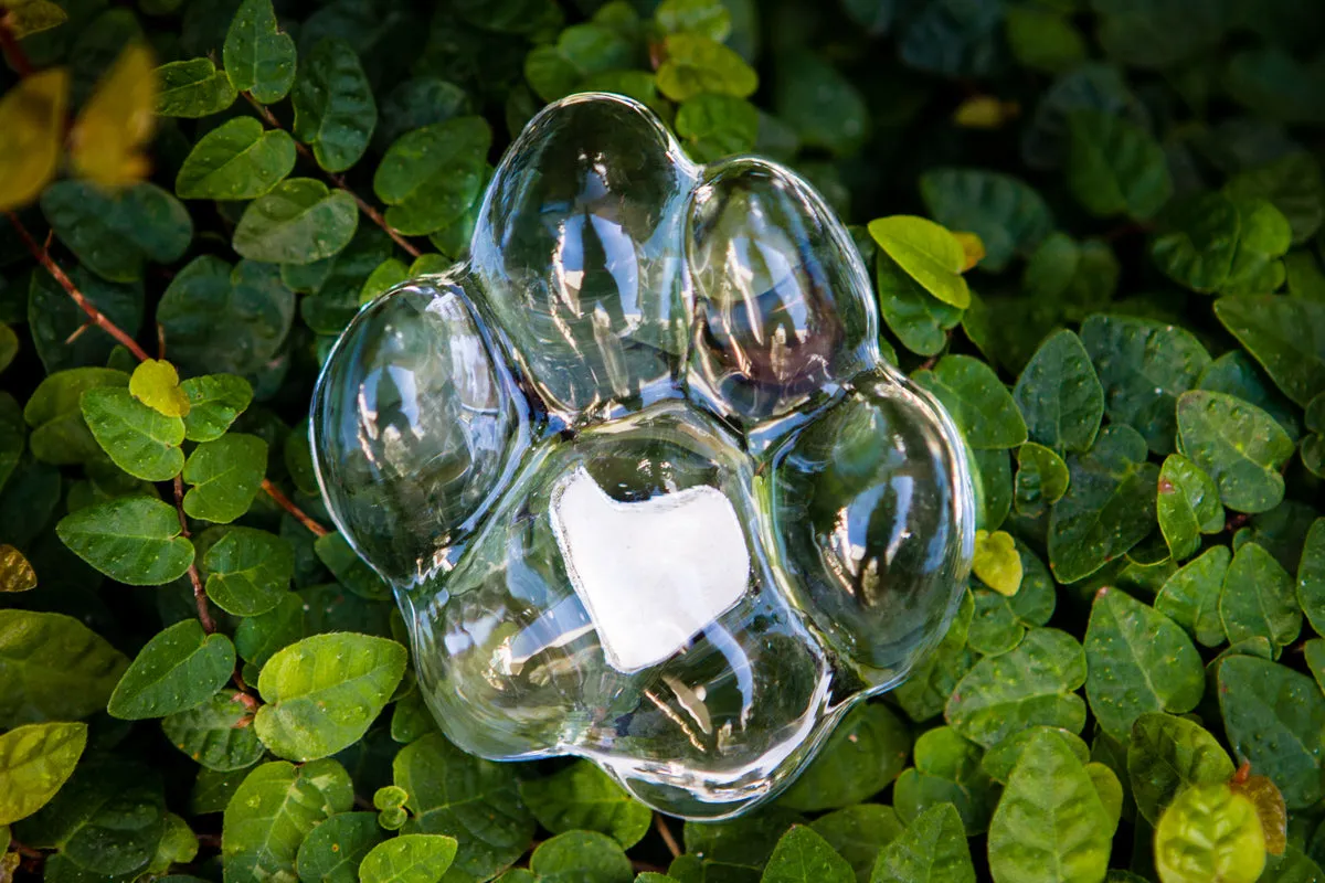 Memorial Glass Paw Print