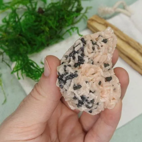 Raw Peachy Pink Dolomite Specimen~ Chakra Balancing Stone