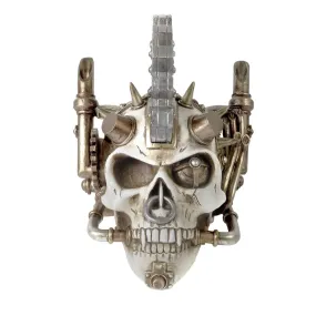 Steamhead Skull