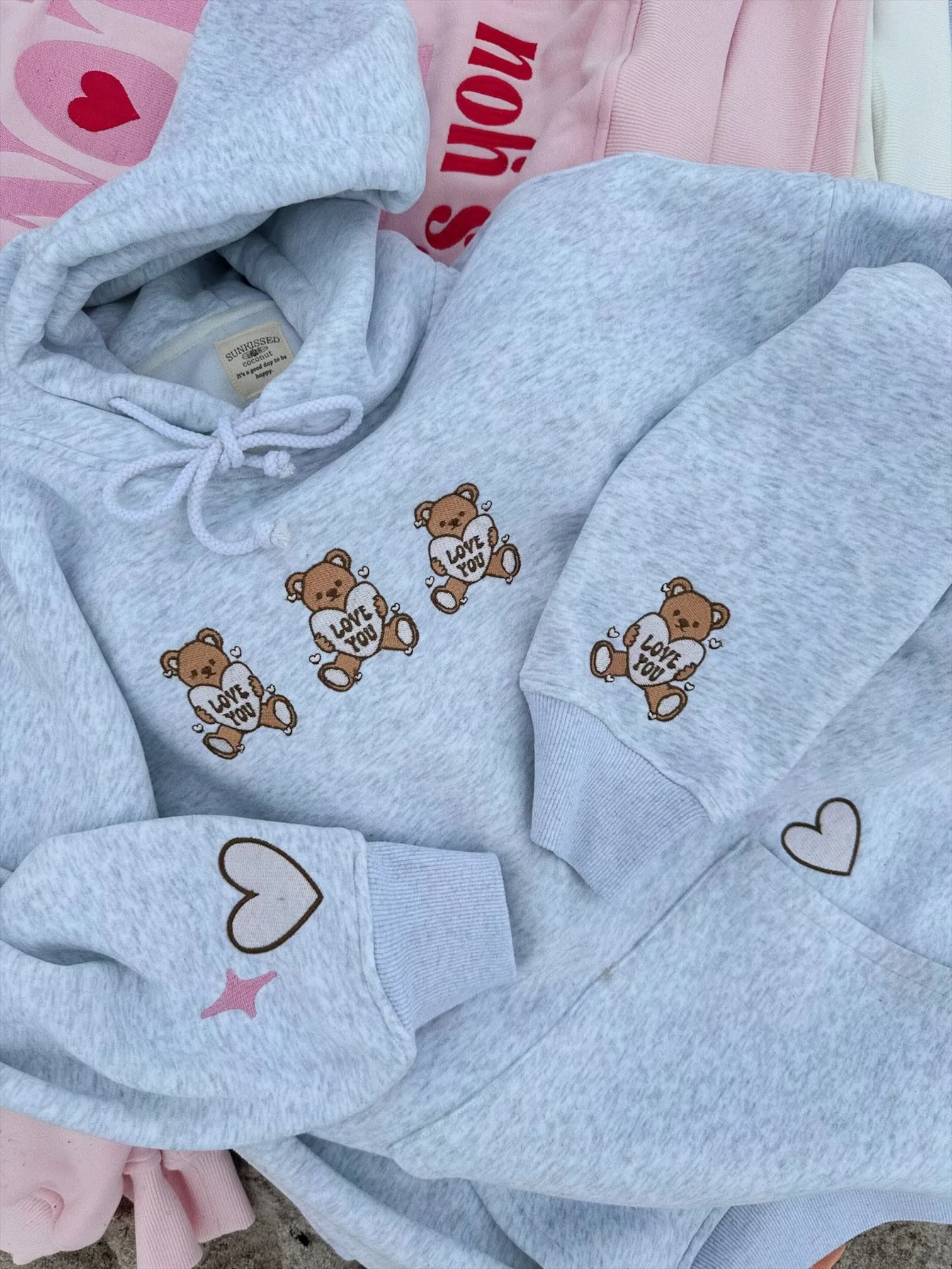 Teddy Bear Embroider Hoodie